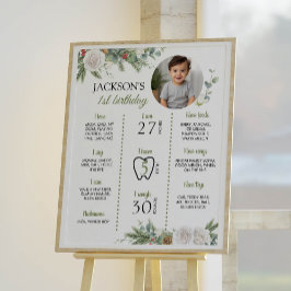 Winter Onederland Birthday Foto Milestone Poster