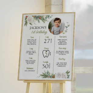 Winter Onederland Birthday Foto Milestone Poster