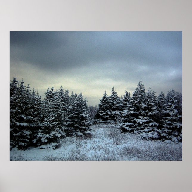 Winter Storm Poster (Frente)