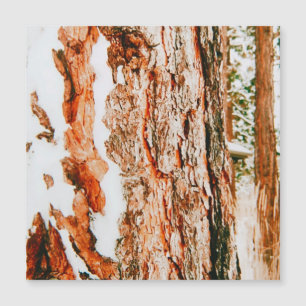 Winter Wonderland em Bend - Oregon