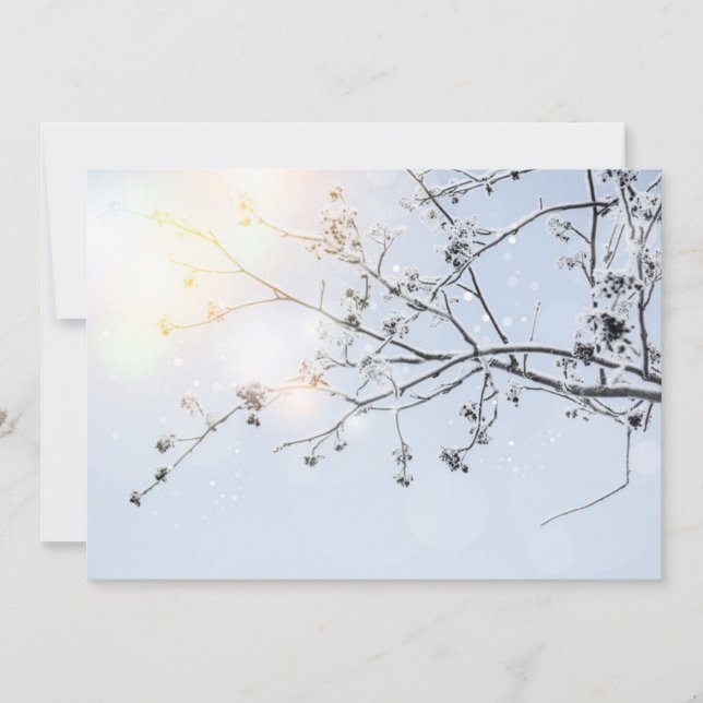 Winter Wonderland por Uname_ (Frente)