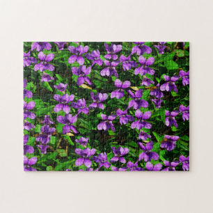 Wisconsin Wood Violets Quebra-cabeça