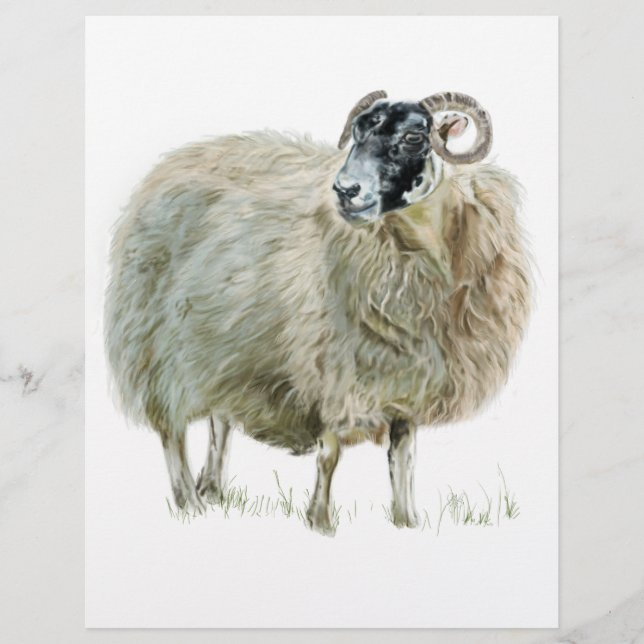 Wise Madre Sheep (Frente)