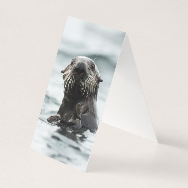 Wise Otter (Verso)