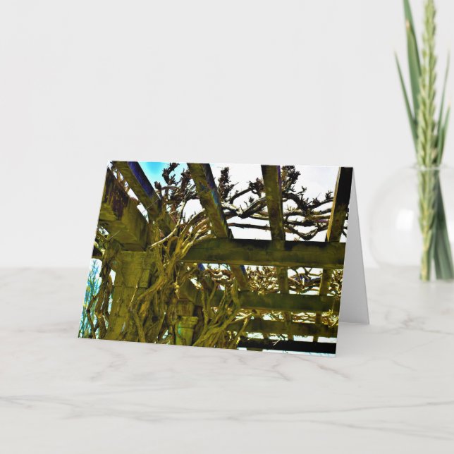 Wisteria, cartão (Frente)