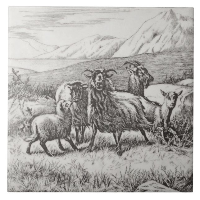 Wm Wise Minton Farm Animal Goats Azulejo Repro c18 (Frente)