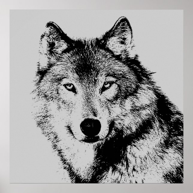 Wolf Eyes Poster (Frente)