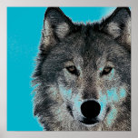 Wolf Eyes Trabalho de arte Blue Pop Art Poster<br><div class="desc">Trabalhos de arte,  pinturas,  imagens e imagens digitais de animais selvagens</div>