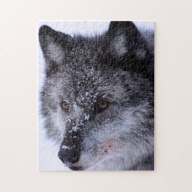 Wolf Face, Quebra-cabeça de Jigsee (Vertical)