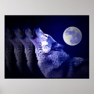 Wolf Howling em Moon Poster Impressão - Posters do
