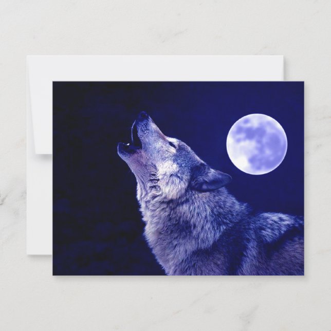 Wolf Howling na Lua (Frente)