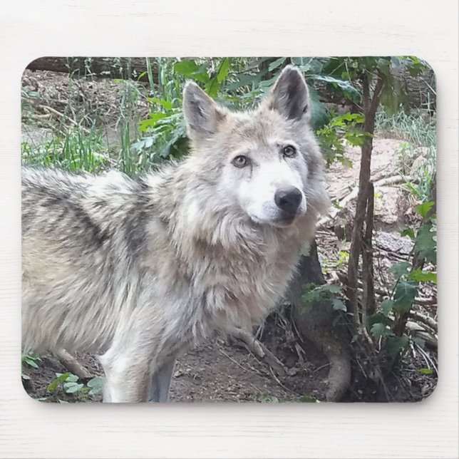 Wolf Mousepad (Frente)