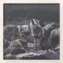 Wolf Pack