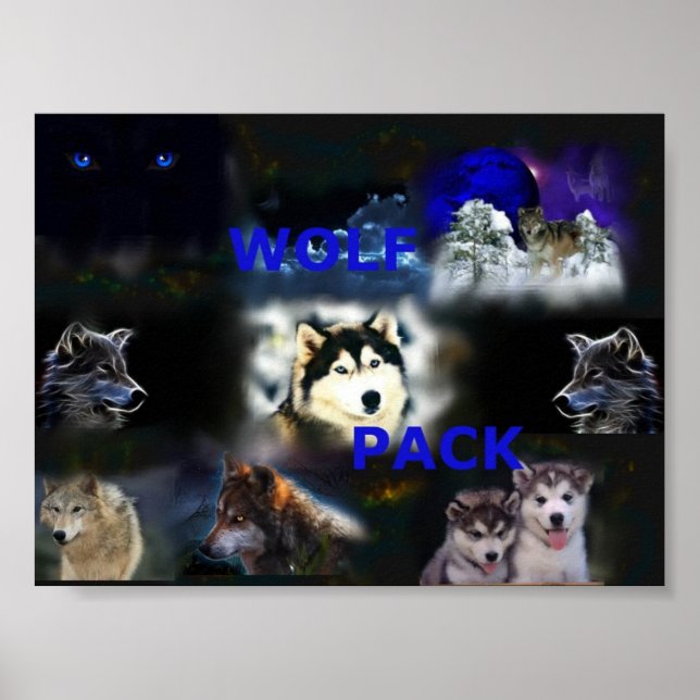Wolf Pack poster (Frente)