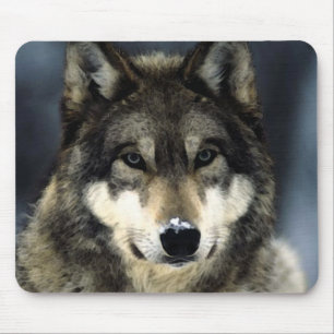 Wolf Portrait Mousepads