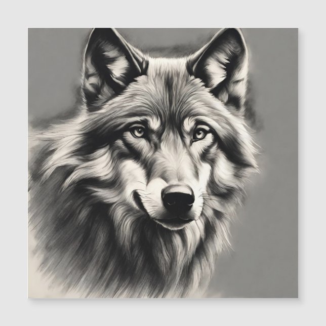Wolf Sketch (Frente)