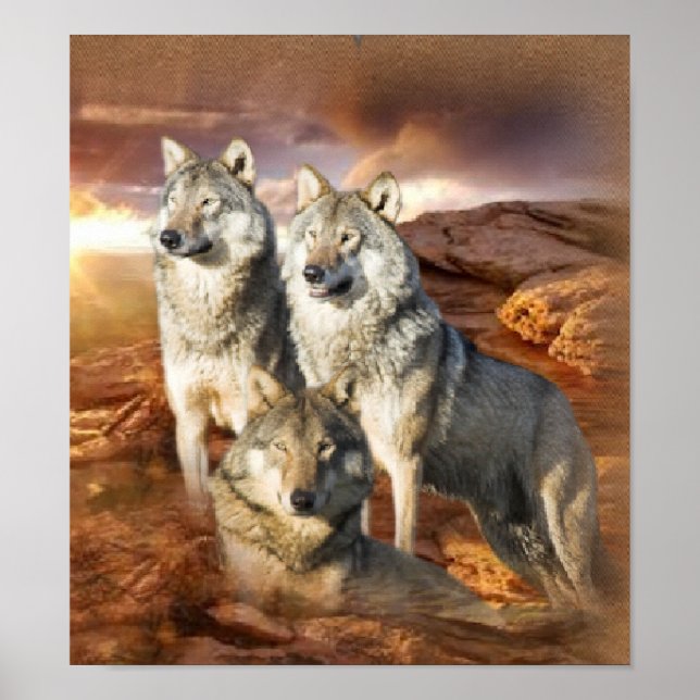 Wolf Trio poster (Frente)