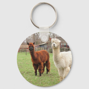 Wolly Alpacas ~ chaveiro