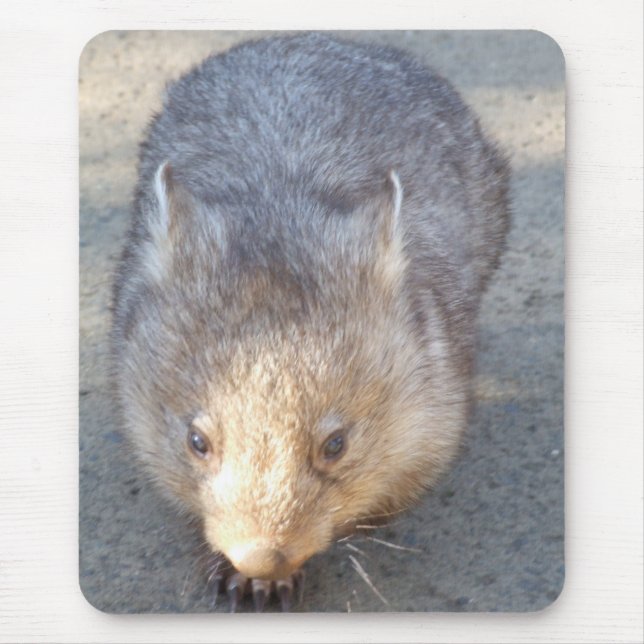 Wombat Mousepad (Frente)