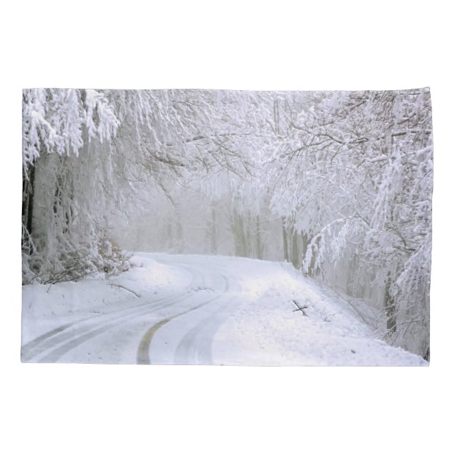 Wonderland de inverno de neve (Verso)