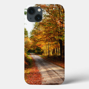 Wood trail with fall foliage