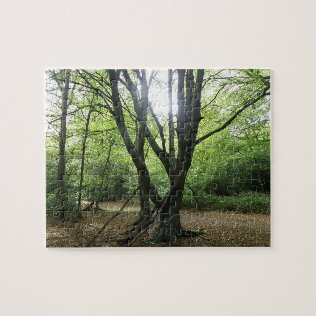 Woodland Sunshine Quebra-cabeça (Horizontal)