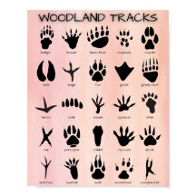 Woodland Tracks Poster