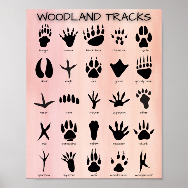 Woodland Tracks Poster (Frente)