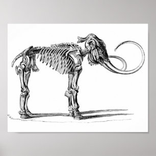 Woolly Mammoth Poster