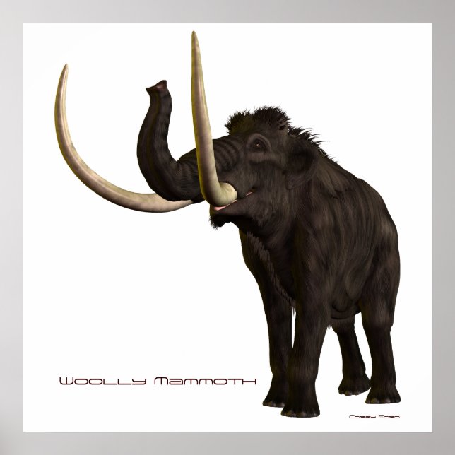 Wooly Mammoth Impressão (Frente)