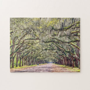 Wormsloe Savannah Oaks Desafiando a Quebra-cabeça