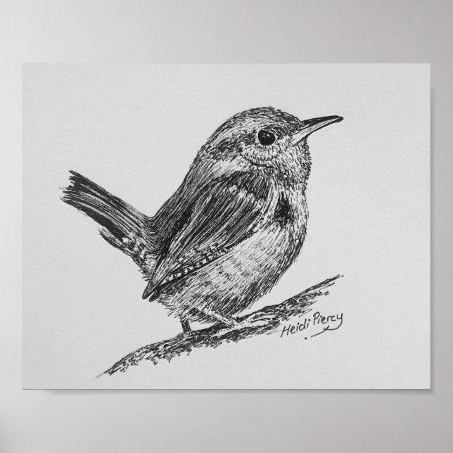 Wren Bird Art Poster (Frente)