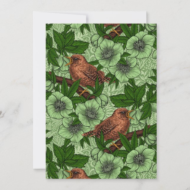 Wren e hellebord, verde-claro (Frente)