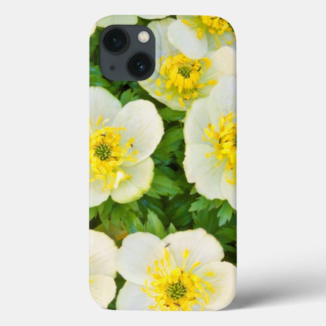 Wyoming, Condado de Sublette, encerramento de um g (Verso)