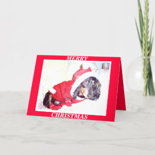 X MAS CHRISTMAS CARTÕES - HEIDI PUP - DASCHUND MI