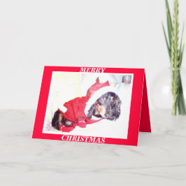 X MAS CHRISTMAS CARTÕES - HEIDI PUP - DASCHUND MIN