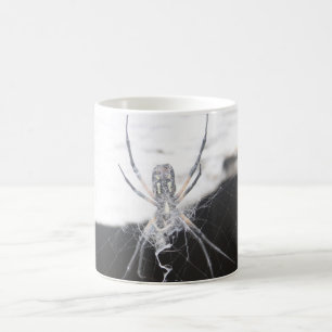 Xícara de café aranha
