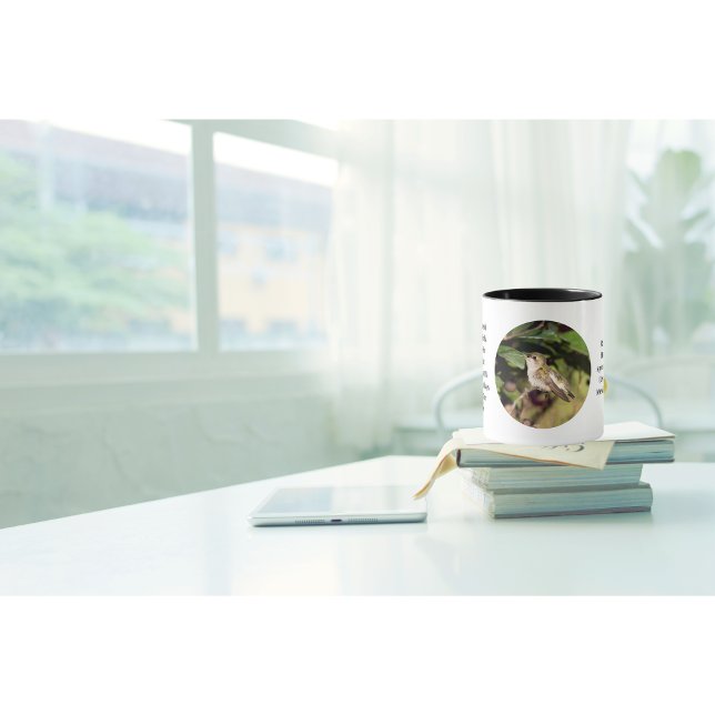 Xícara de Café Beija-flor (It's a beautiful day why not enjoy your coffee in one of our fun facts hummingbird cups ?)