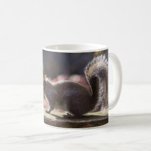 Xícara de café de esquilo