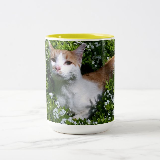 Xícara de Café Per-feita (Centro)