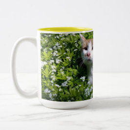 Xícara de Café Per-feita
