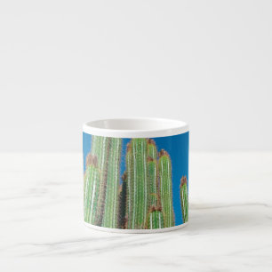 Xícara De Espresso África Deserto Paisagem Natureza Plantas Cactus
