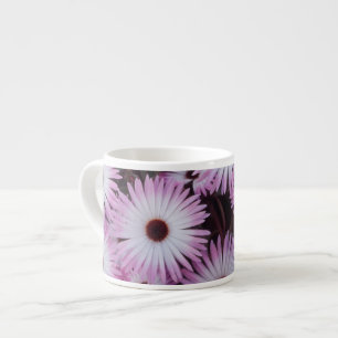 Xícara De Espresso África do Sul, Província do Cabo Ocidental