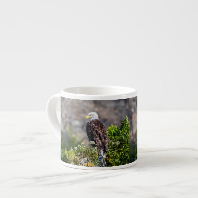 Xícara De Espresso Águia caída sentada na rocha (Frente Esquerda)