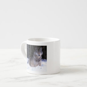 Xícara De Espresso América do Norte, Canadá, Canadá Oriental, Lobo ci