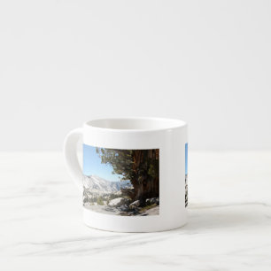 Xícara De Espresso Árvore velha no parque nacional de Yosemite