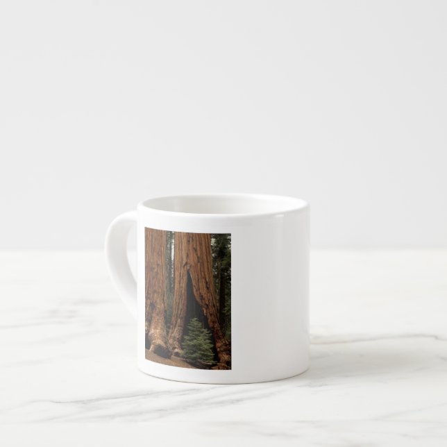 Xícara De Espresso Árvores Redwood, Parque Nacional Sequoia. (Frente Esquerda)