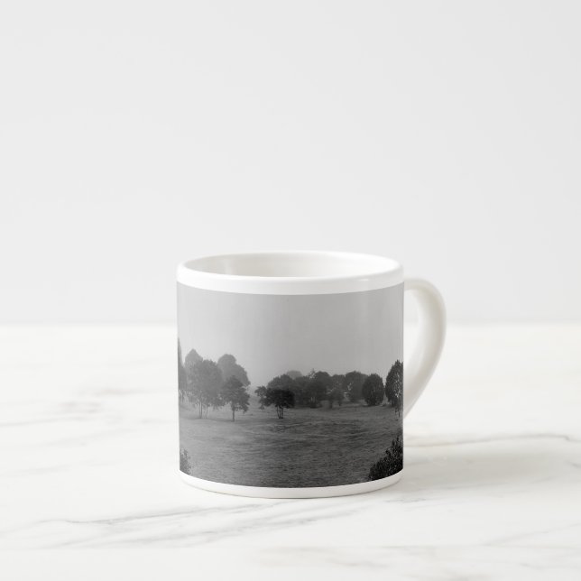 Xícara De Espresso Belas árvores e natureza no nevoeiro (Frente Esquerda)
