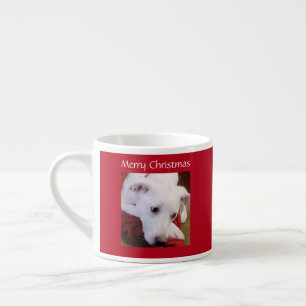 Xícara De Espresso Belo Cachorro Branco Neve Vermelho