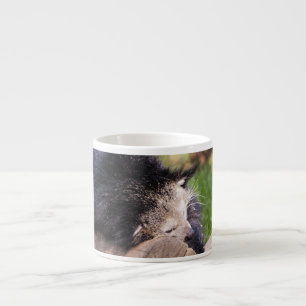 Xícara De Espresso Binturong dormindo